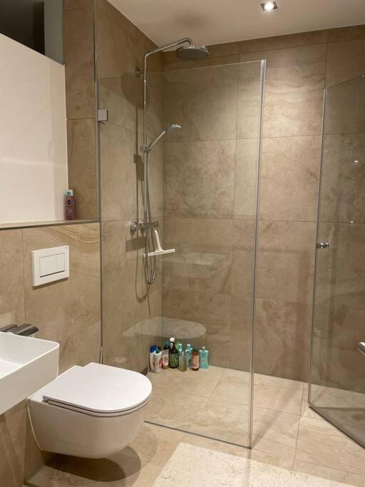 Appartement Wunderschoenes 4 Mit Seeblick *